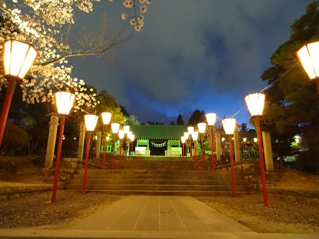 開成山大神宮近辺の桜