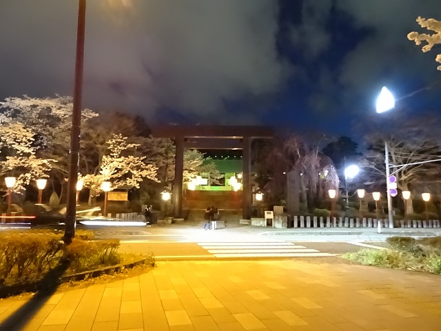開成山大神宮近辺の桜