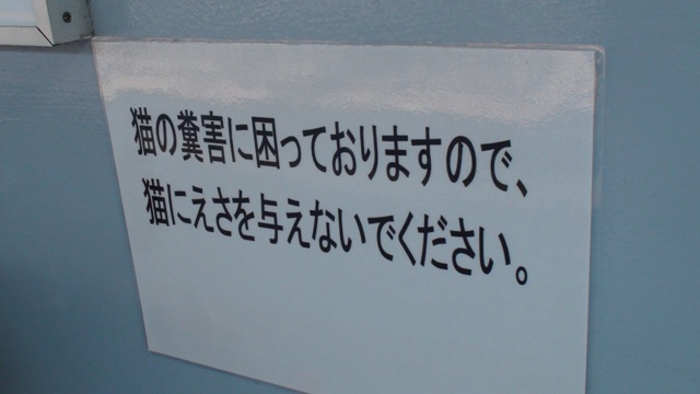 猫にえさを与えないでください